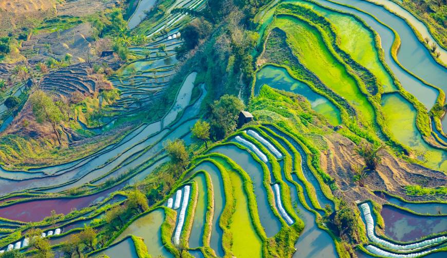 宝妈必备神器：海陵区产品视频拍摄轻松育儿好帮手