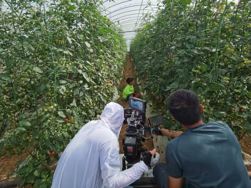 海陵区产品宣传视频拍摄公司进阶指南，助力品牌抢占传播高地